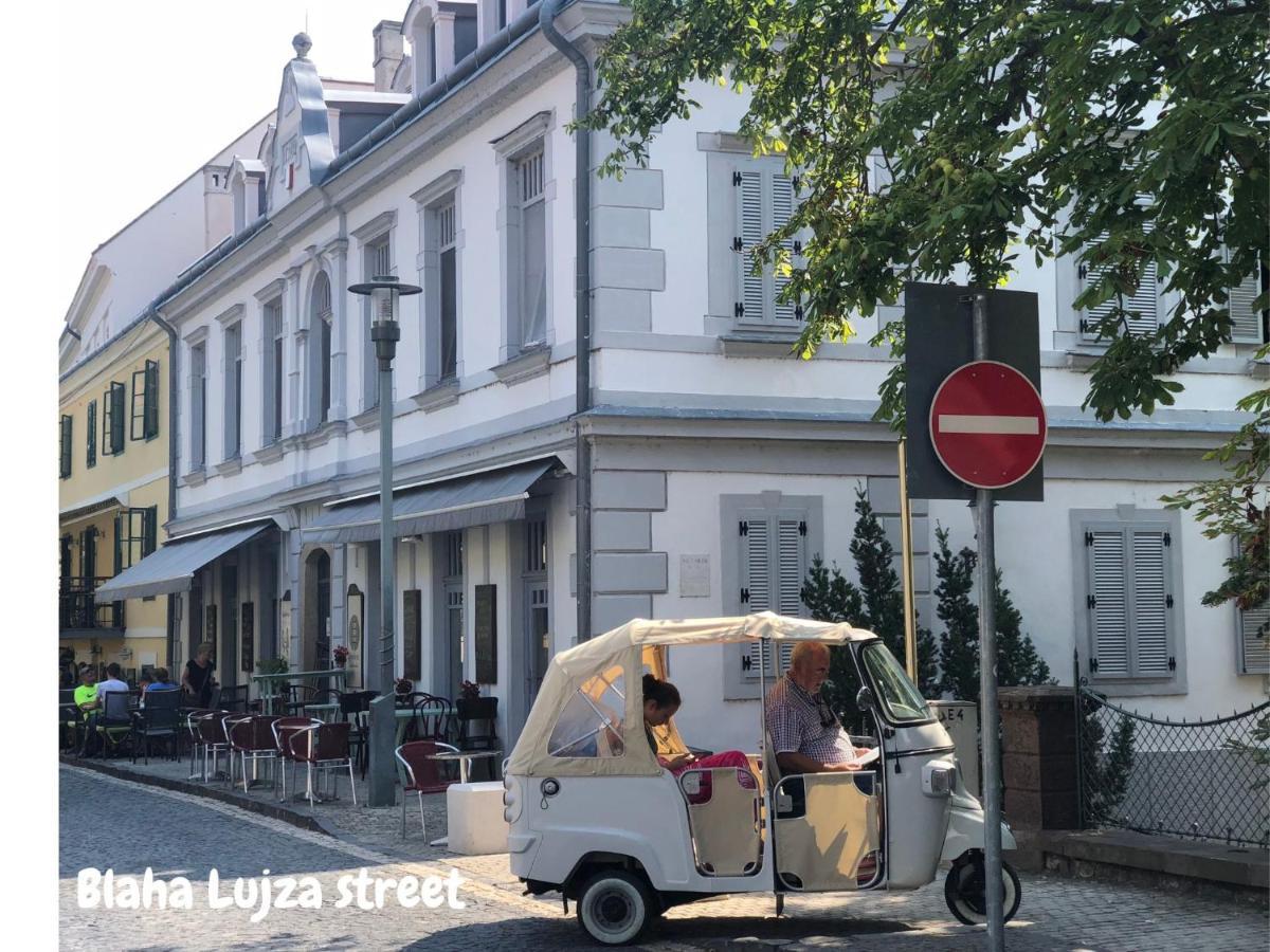 Blaha Rooms バラトンフレド エクステリア 写真